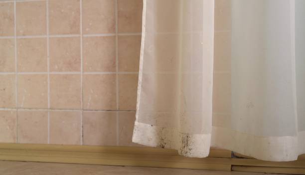 Best Residential Mold Inspection & Testing  in West Cape May, NJ