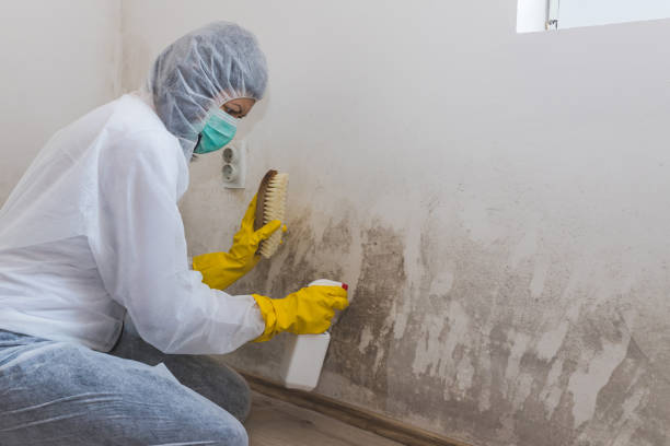 Best Mold Removal for HVAC Installations  in West Cape May, NJ