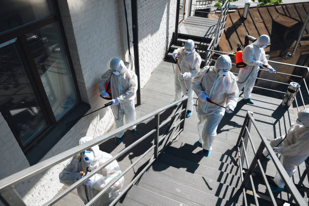 Best Black Mold Removal  in West Cape May, NJ