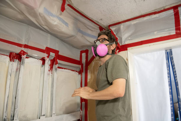 Best Comprehensive Air Testing for Mold Contaminants  in West Cape May, NJ