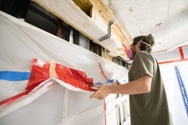 Best Mold Odor Removal Services  in West Cape May, NJ