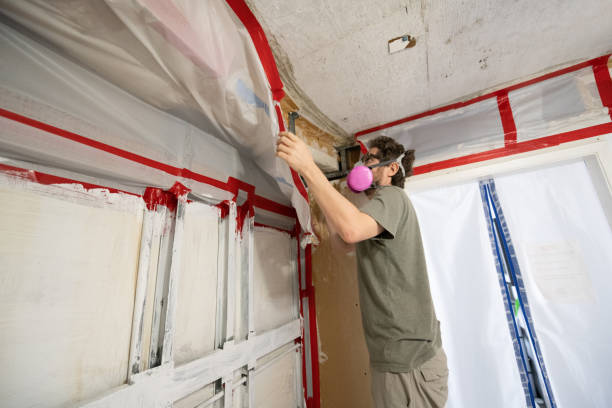 Mold Removal for HVAC Installations in West Cape May, NJ