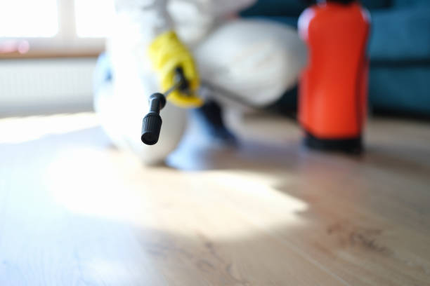 Best Basement Mold Removal  in West Cape May, NJ