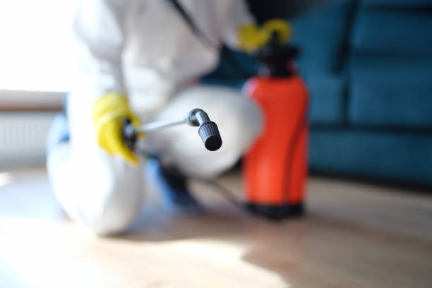  West Cape May, NJ Mold Removal Pros