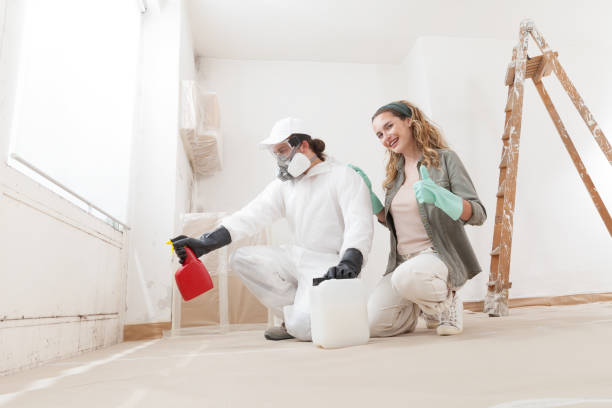 Best Forensic Mold Investigation  in West Cape May, NJ